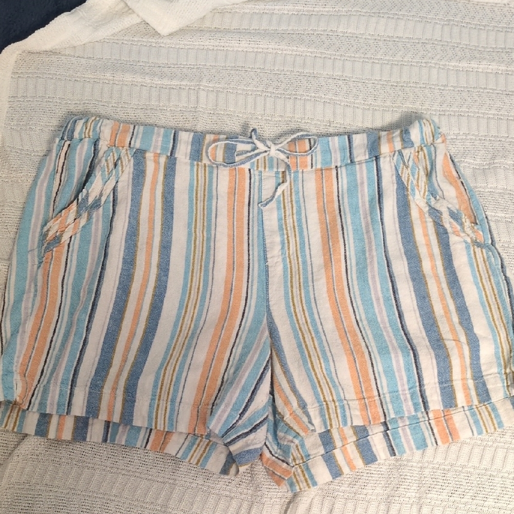 Briggs New York Multi-Color Pastel Striped Linen Rayon Blend Shorts